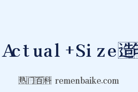 Actual+Size造句是什么意思的图片